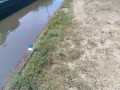IMG_20260629_095213