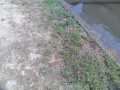 IMG_20260629_095215