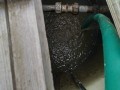 IMG_20260630_073541