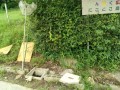 IMG_20260630_073550