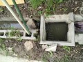 IMG_20260630_073556