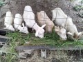 IMG_20260630_073844