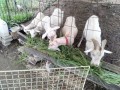 IMG_20260630_073848