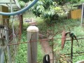 IMG_20260630_073901