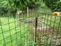 IMG_20260630_073934
