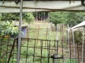 IMG_20260630_073948