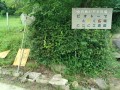 IMG_20260701_074147