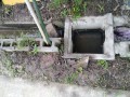 IMG_20260701_074152
