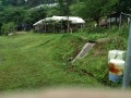 IMG_20260701_074251
