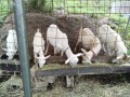 IMG_20260701_075544