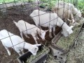IMG_20260701_075603