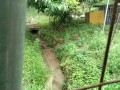 IMG_20260701_075609