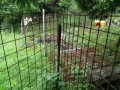 IMG_20260701_075640
