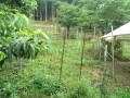 IMG_20260701_075657