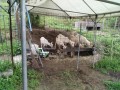 IMG_20260701_075706
