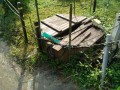 IMG_20260702_080820