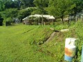 IMG_20260702_081201