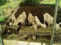 IMG_20260702_081610