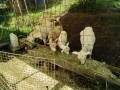 IMG_20260702_081616