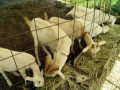 IMG_20260702_081627