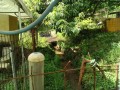 IMG_20260702_081631