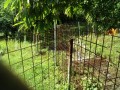 IMG_20260702_081658