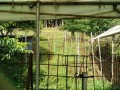 IMG_20260702_081712