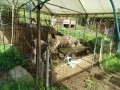 IMG_20260702_081717