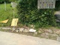 IMG_20260703_092130