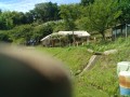 IMG_20260703_092219