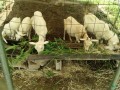 IMG_20260703_092837