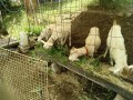 IMG_20260703_092845