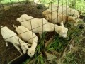 IMG_20260703_092900