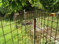 IMG_20260703_092930