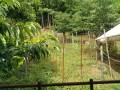 IMG_20260703_092942