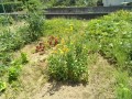 IMG_20260703_111700