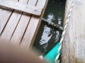 IMG_20260704_090049
