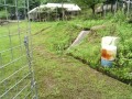 IMG_20260704_090155