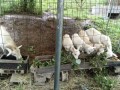 IMG_20260704_091503