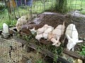 IMG_20260704_091511