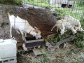 IMG_20260704_091522