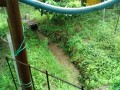 IMG_20260704_091527