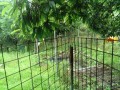 IMG_20260704_091544