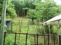 IMG_20260704_091602