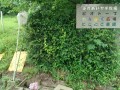 IMG_20260705_082423
