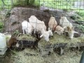 IMG_20260705_083004