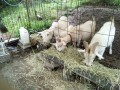 IMG_20260705_083010