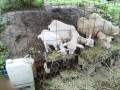 IMG_20260705_083017
