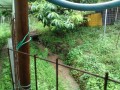 IMG_20260705_083022