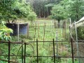IMG_20260705_083027